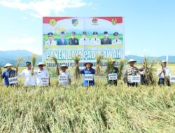 Bupati Donggala Pimpin Panen Raya di Siboang